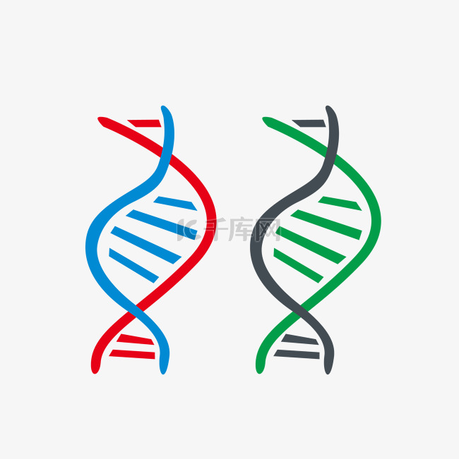 欧式可爱彩色DNA基因链矢量图