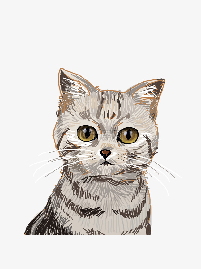 手绘逼真的条纹小猫咪设计元素