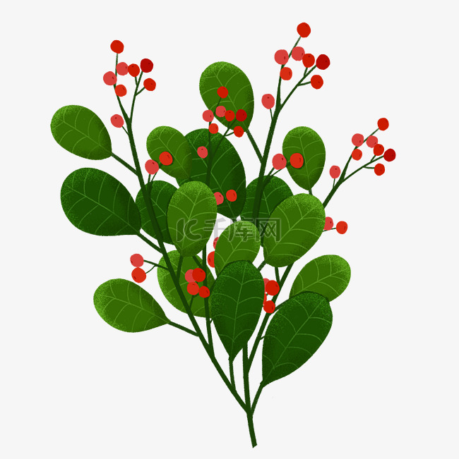 手绘插画植物绿叶果子