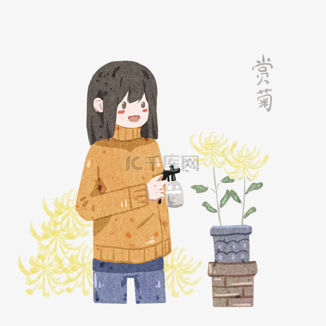 霜降女孩赏菊浇花