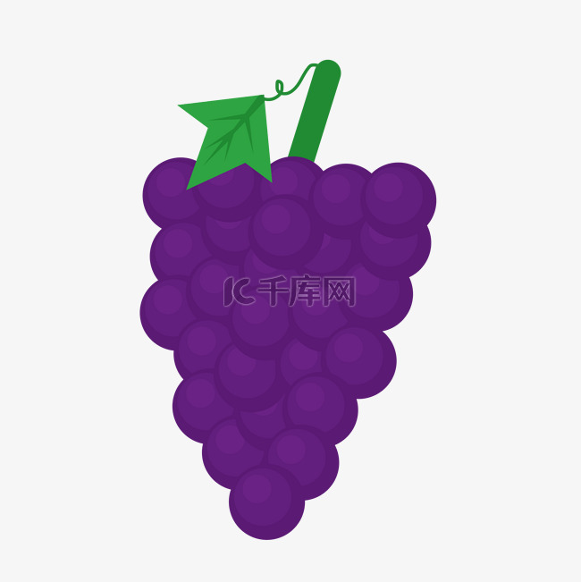 手绘紫色葡萄插图