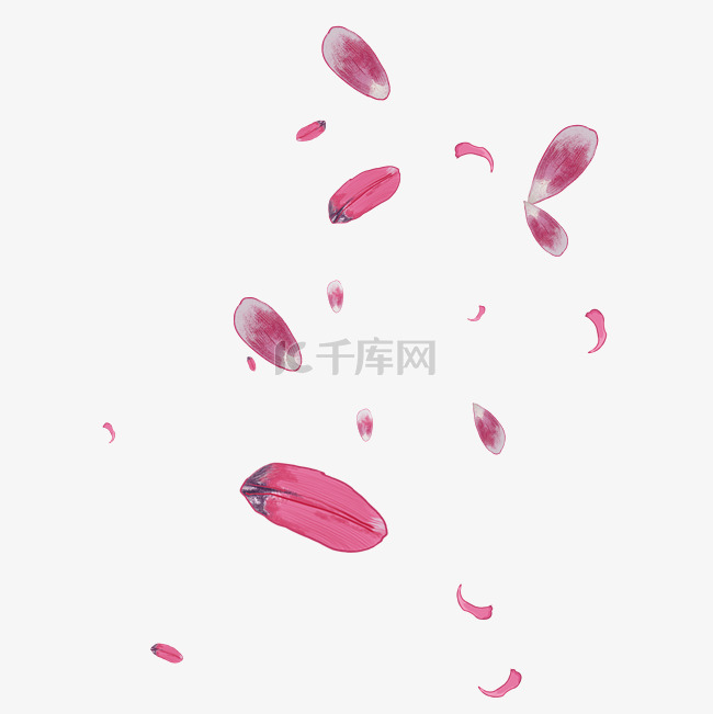 漂浮红色花瓣