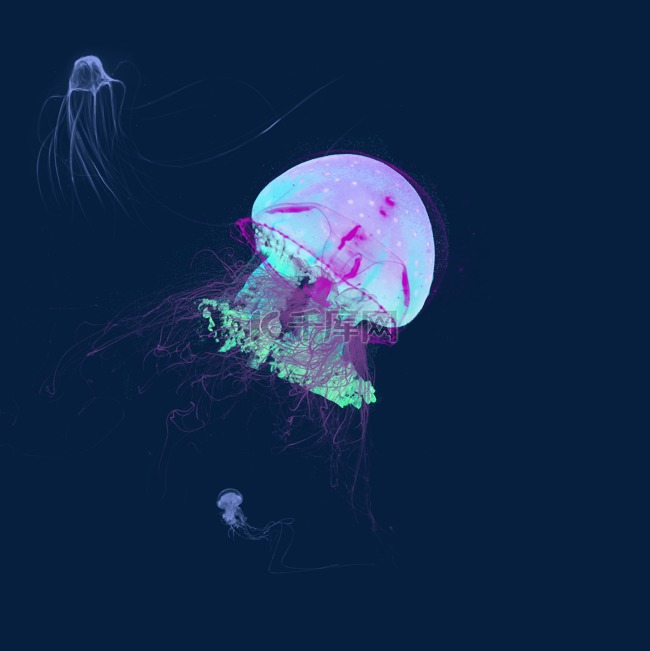 透明生物章鱼水母元素