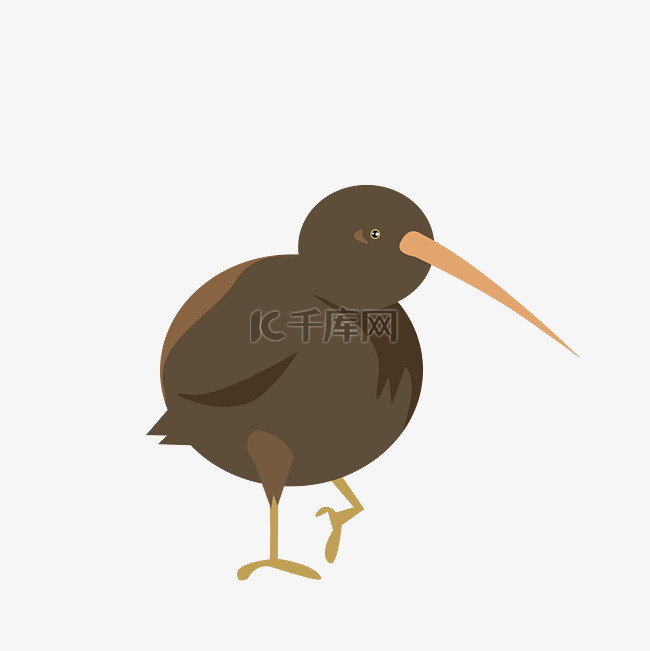 新西兰鸟