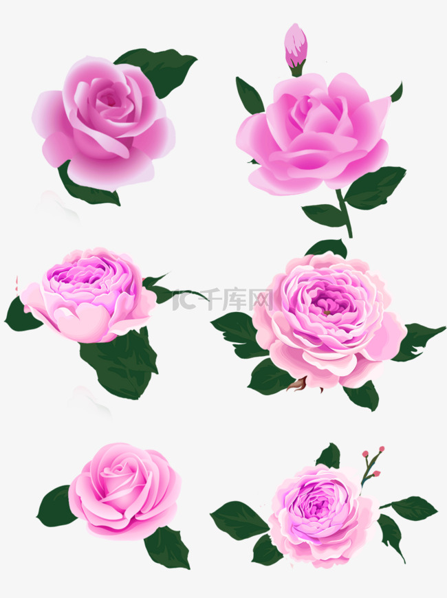手绘紫色玫瑰花康乃馨素材分成