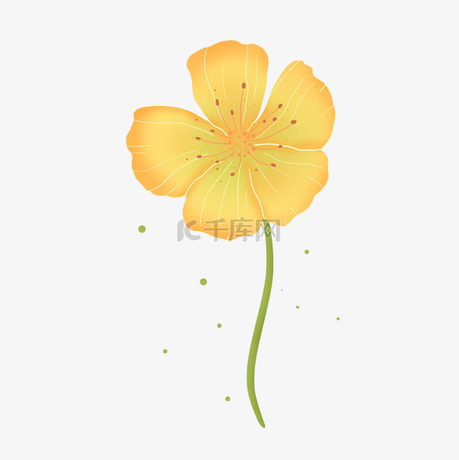 黄色绚烂可爱小花