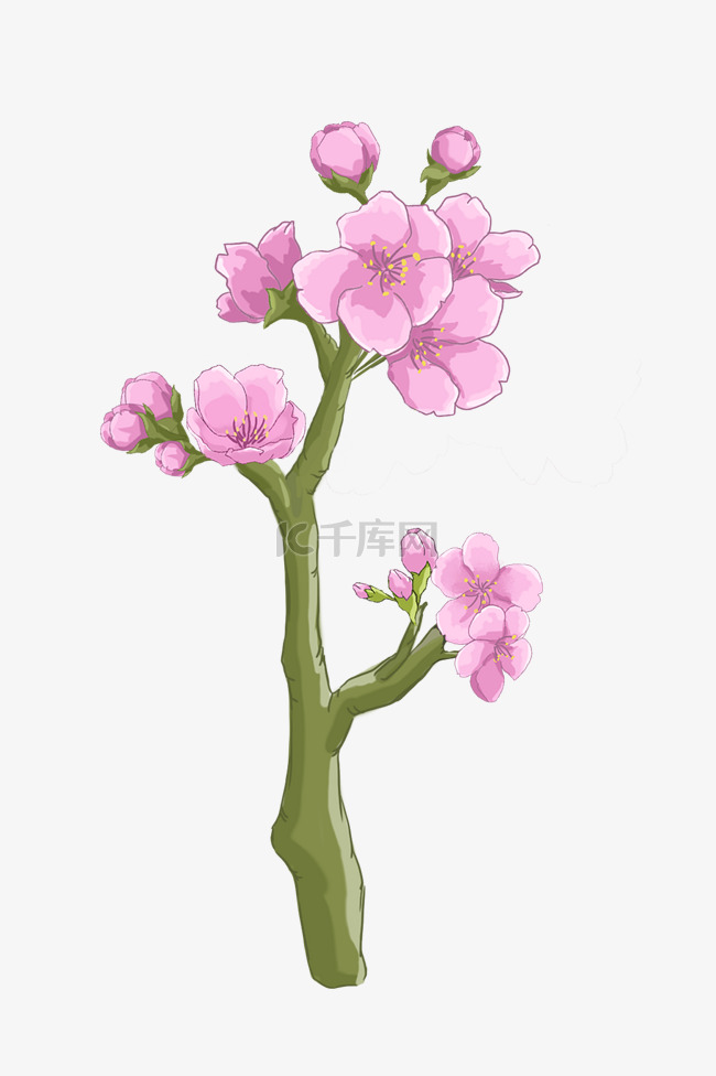 好看樱花卡通插画