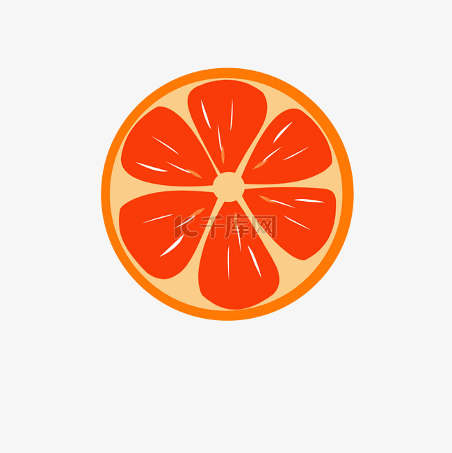 夏日水果橘子矢量图