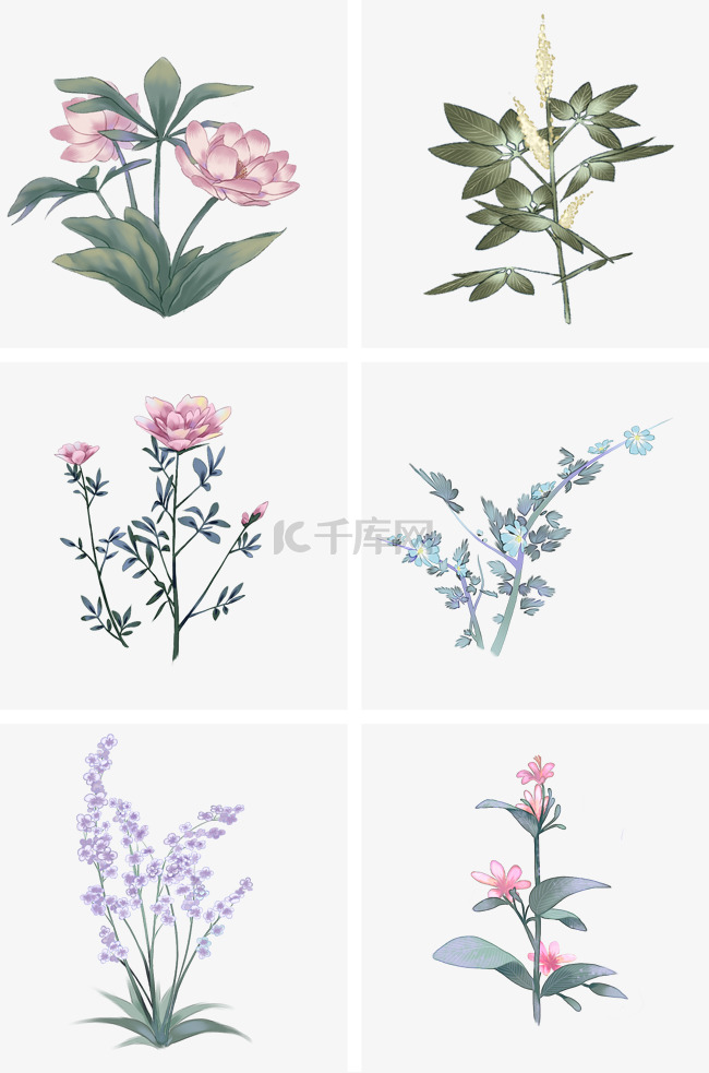 中国古风手绘花卉