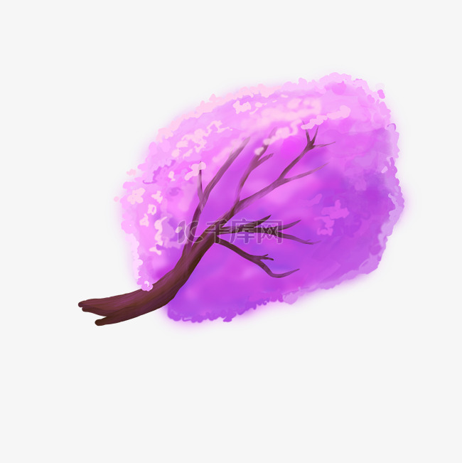  紫色樱花树 