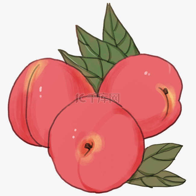 秋季农作物水果桃子手绘插画