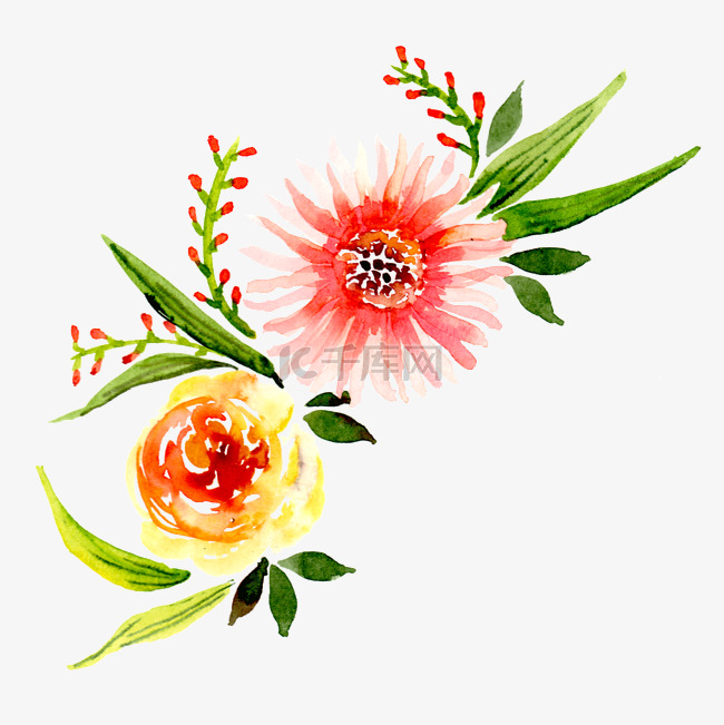 手绘水彩花卉植物插画