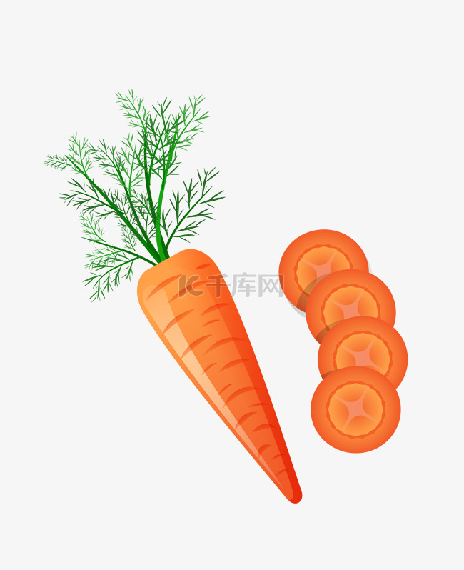 新鲜蔬菜红萝卜插画
