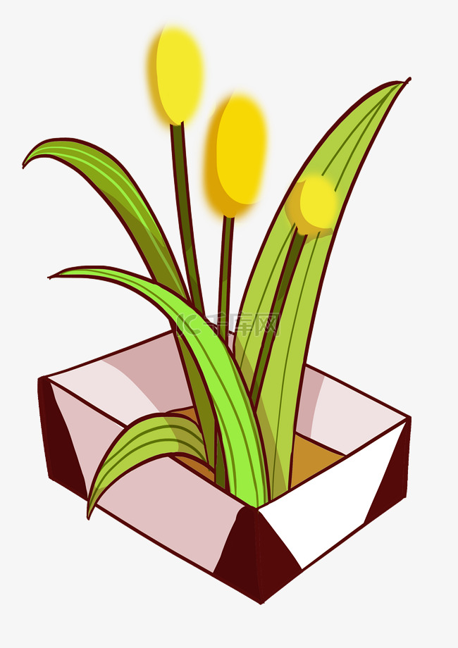黄色花苞盆栽插画