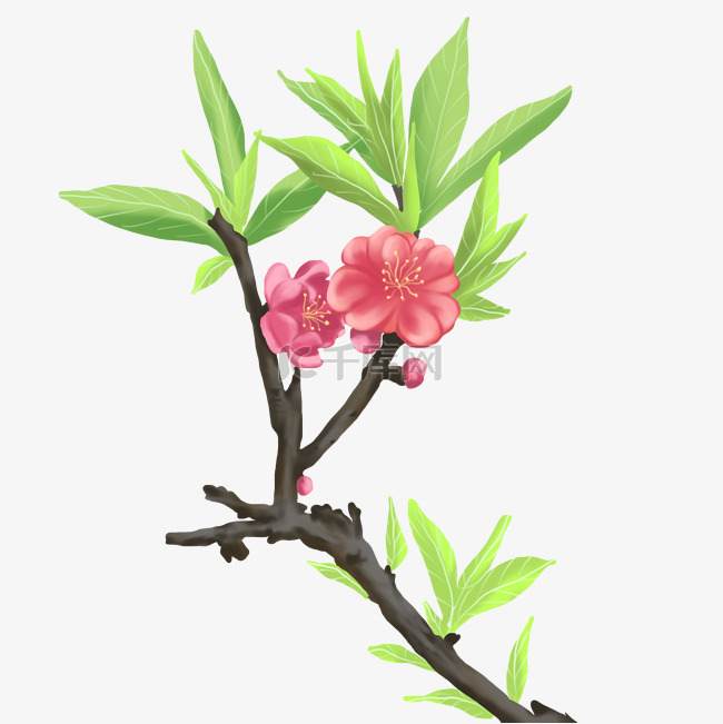 植物类桃花春暖花开手绘