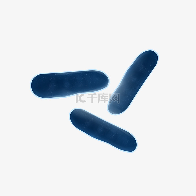 蓝色条形细菌