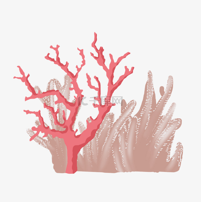 美丽的红色珊瑚礁