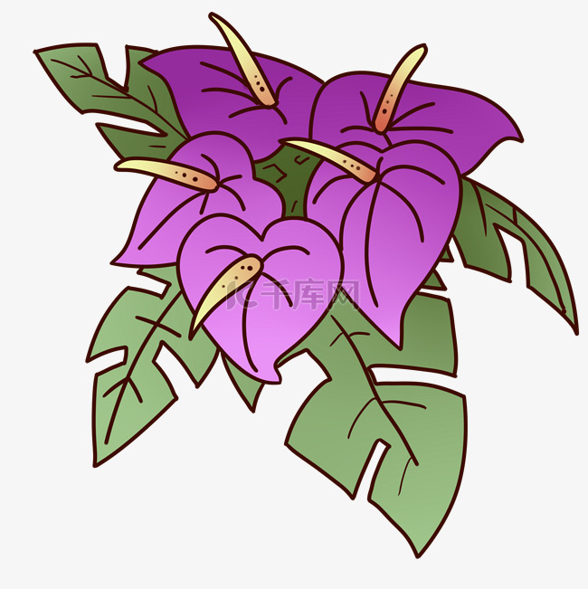 紫红色花朵