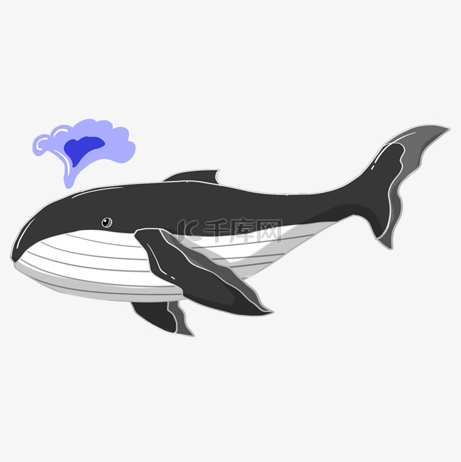 黑色戏水的鲸鱼