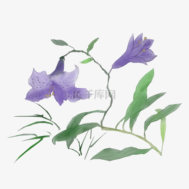 卡通手绘中国风水彩紫色花朵免抠