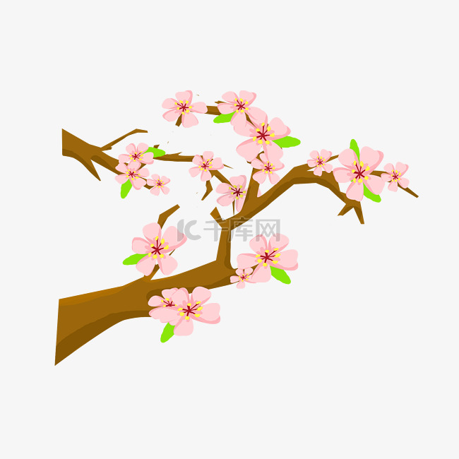 粉色的桃花手绘插画
