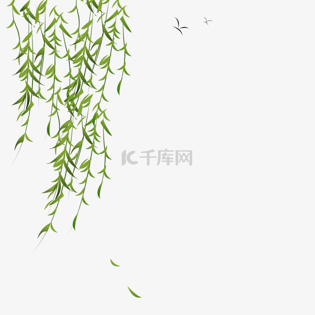 清明节风吹柳树漂浮柳叶