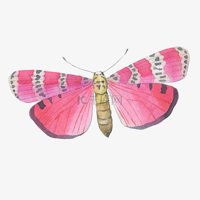 手绘卡通粉色蝴蝶