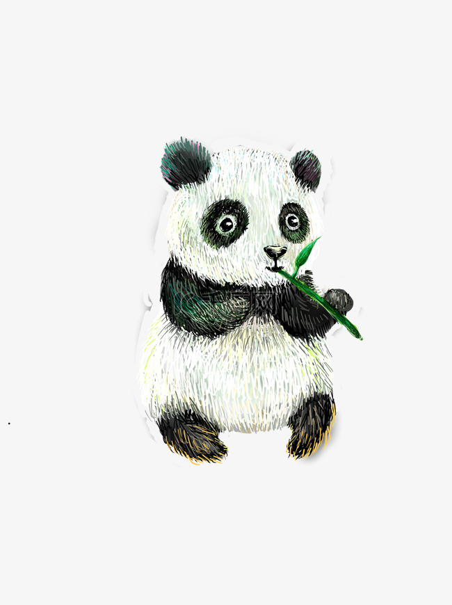 吃竹子的可爱大熊猫卡通背景