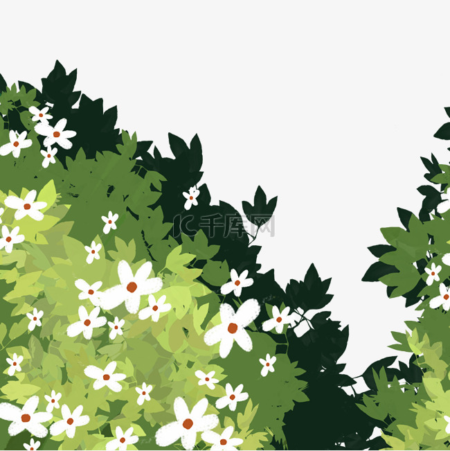 白色的花朵和植物免抠图