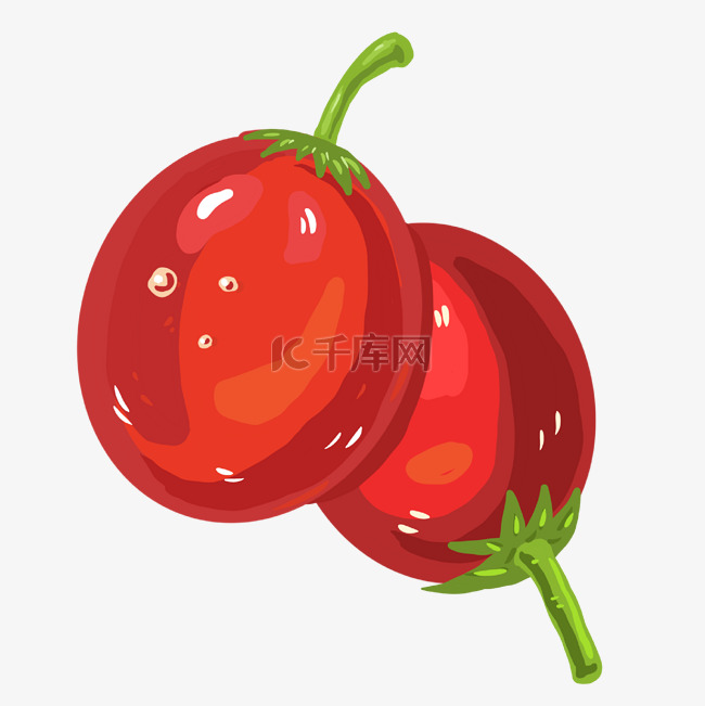 两颗红色果蔬番茄