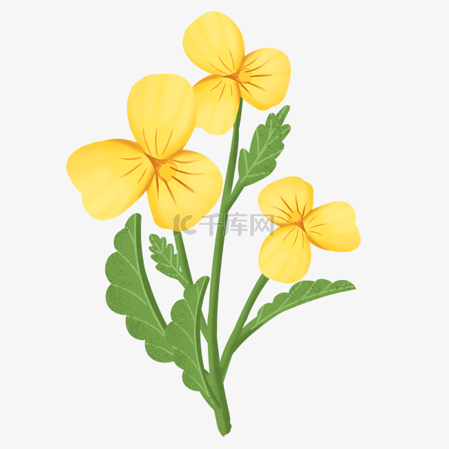 手绘小清新黄色花朵