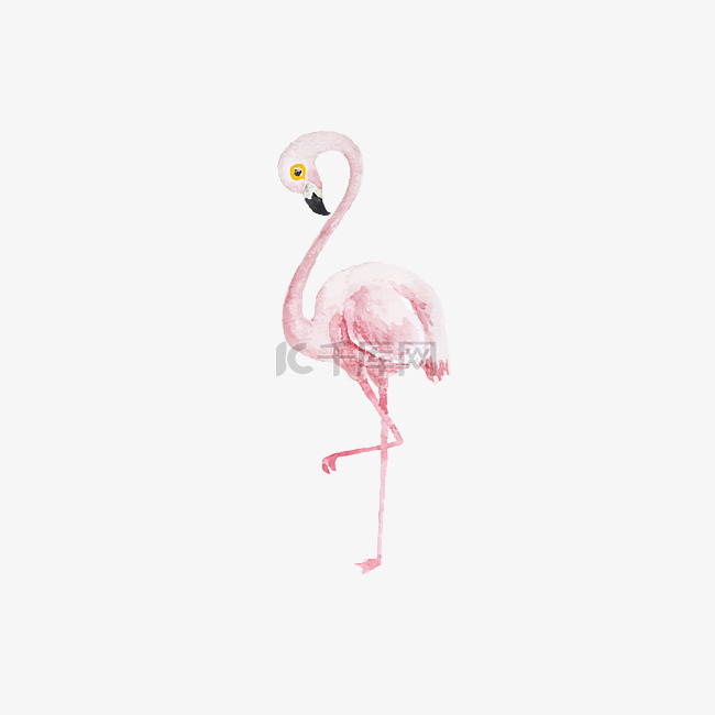 水彩粉色正在舞蹈的火烈鸟