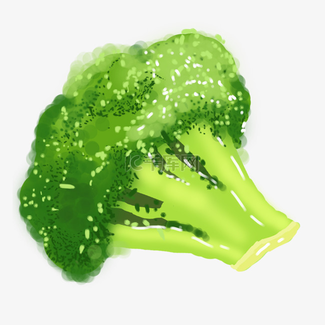 绿色有机蔬菜插图