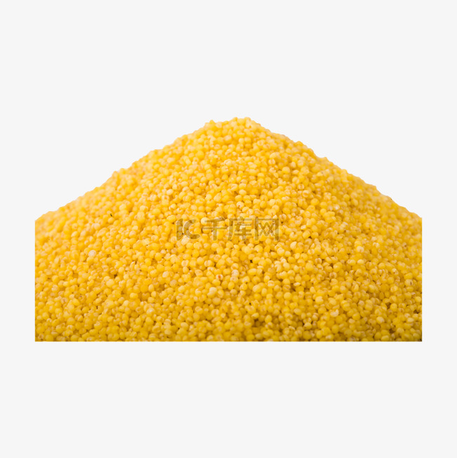 玉米粒（png免抠）