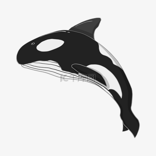 水墨跳动的鲸鱼插画