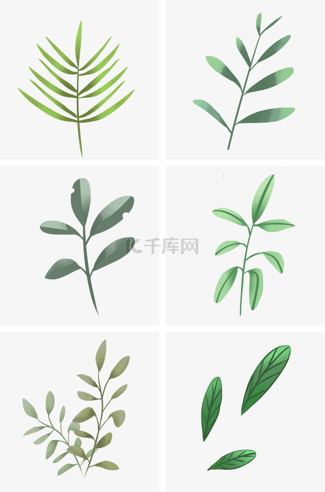 绿色叶子植物