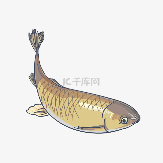 手绘海鲜美食鱼插画