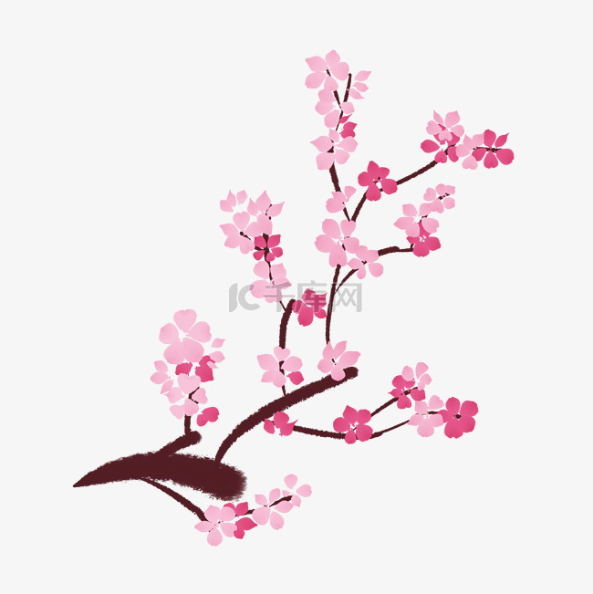 盛开的樱花树插图