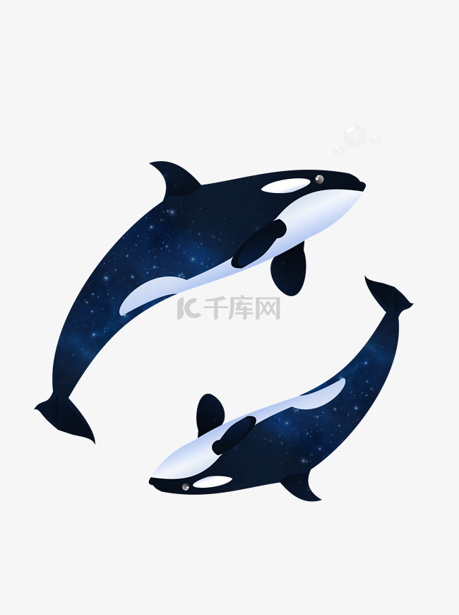 海洋动物鲸鱼