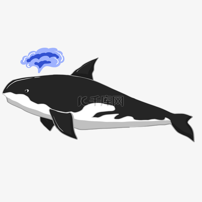 黑色鲸鱼蓝色海水