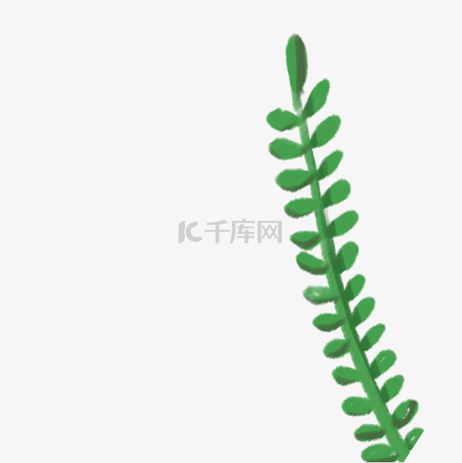 绿色植物叶子免抠图