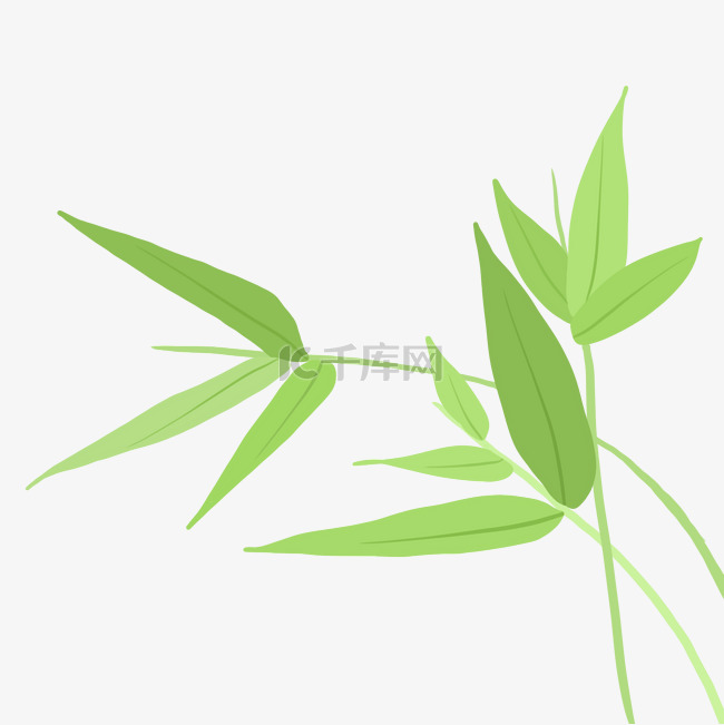 植物竹子叶子装饰手绘