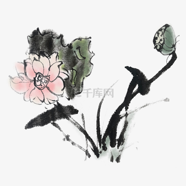 中国风手绘水墨荷花插画素材