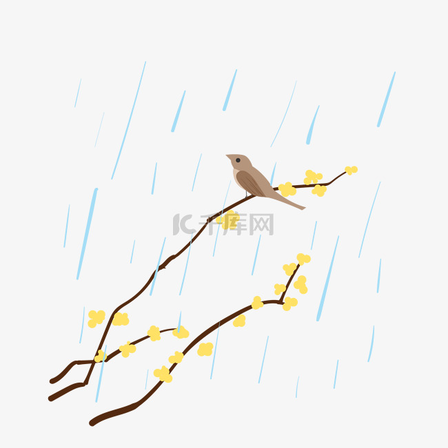 小雨雨水小鸟