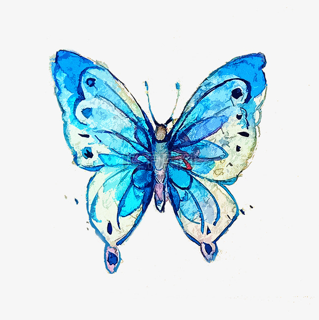 蝴蝶蓝色透明翅膀昆虫PNG