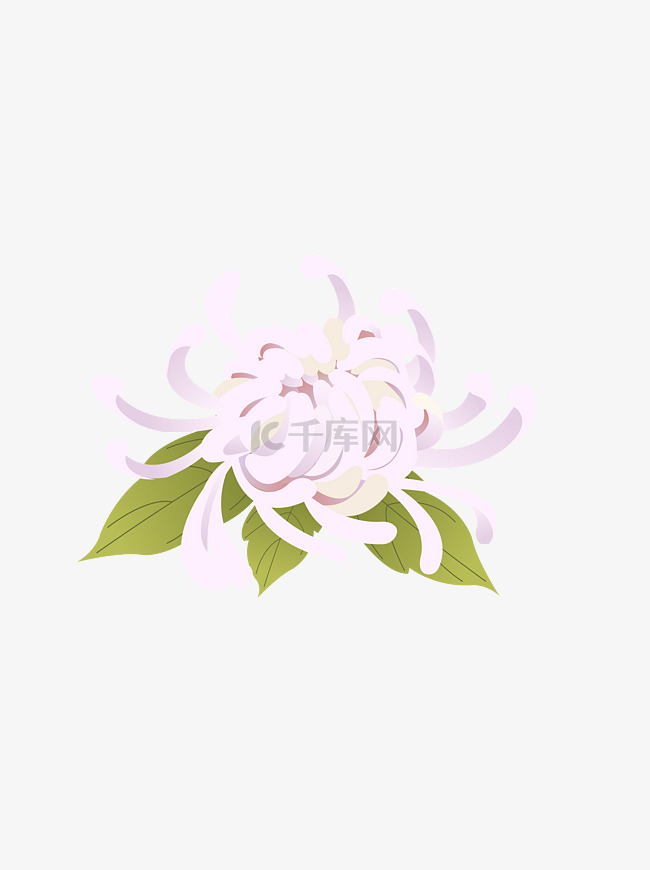 中元节白色菊花祭祀元素