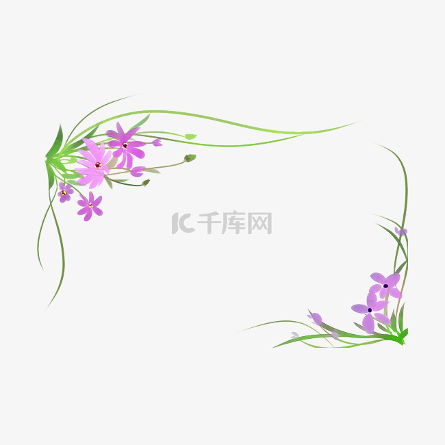 紫色花朵植物