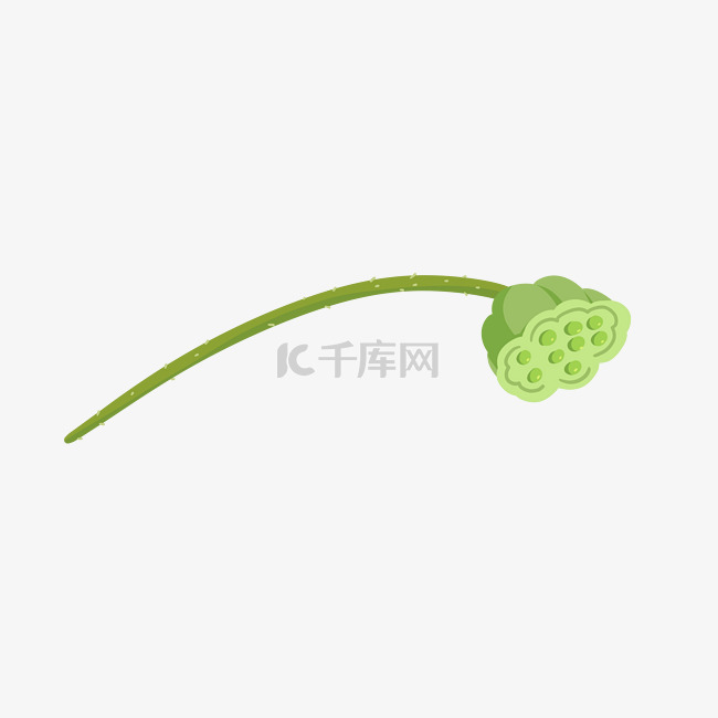 卡通植物莲蓬莲子