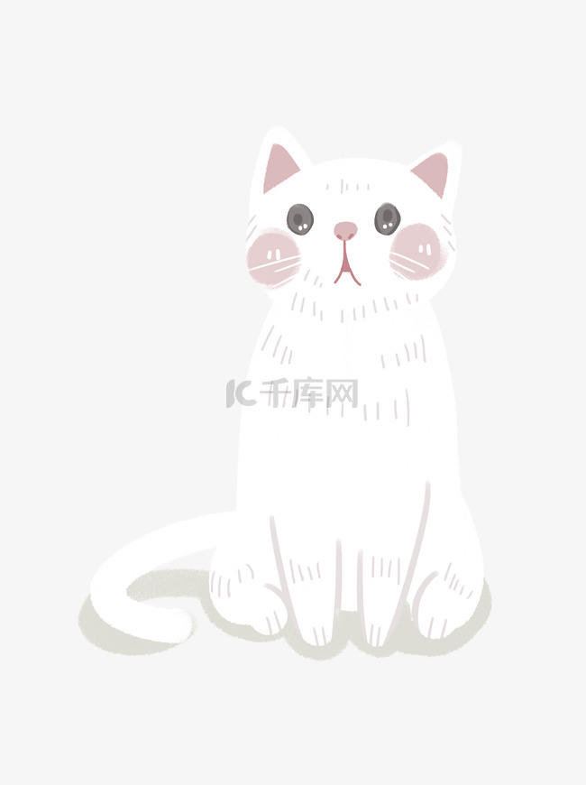 萌宠小白猫插画动物设计