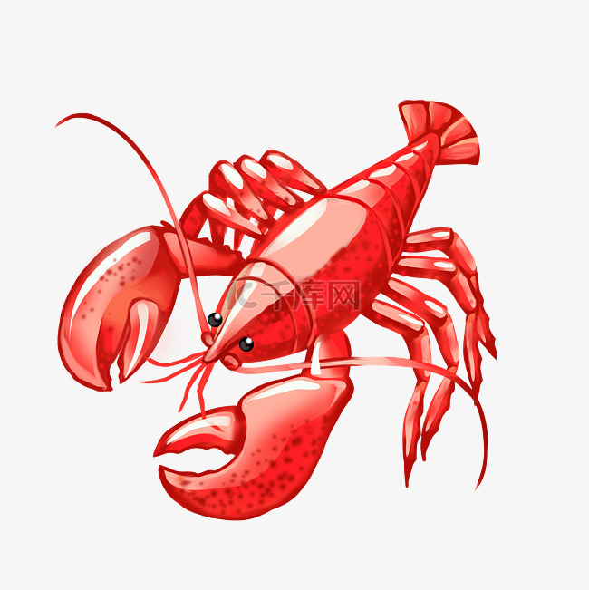海鲜红色的龙虾插画